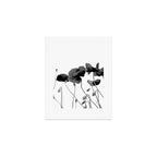 Poppy (black and white) Art Print Gallery Image 1
