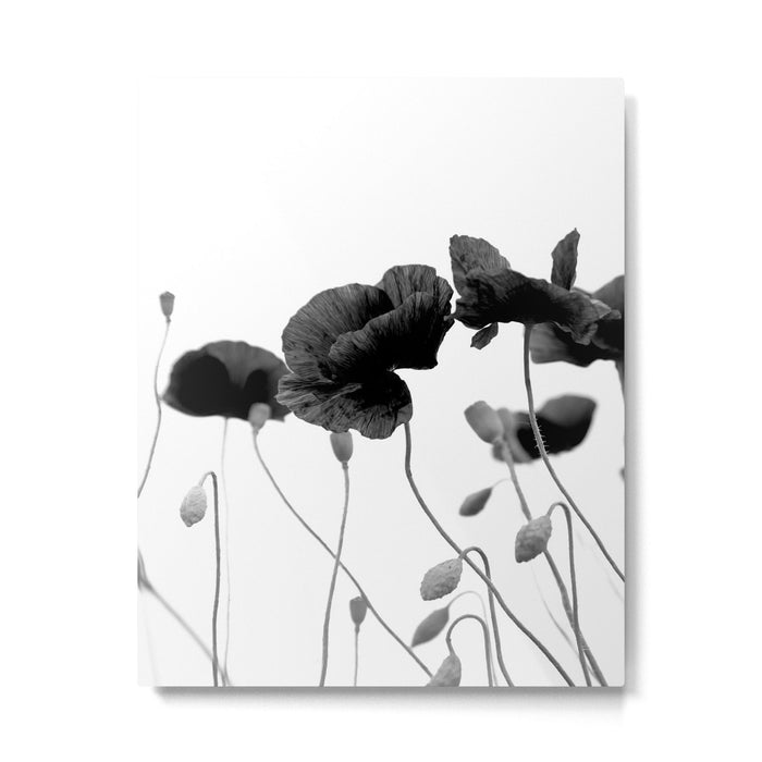 Poppy (black and white) Metal Print Gallery Image 1