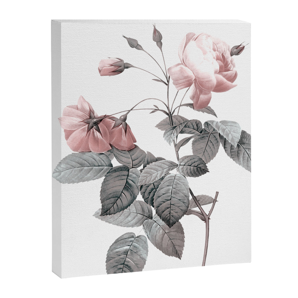 Rose 2 Canvas Print Gallery Image 6