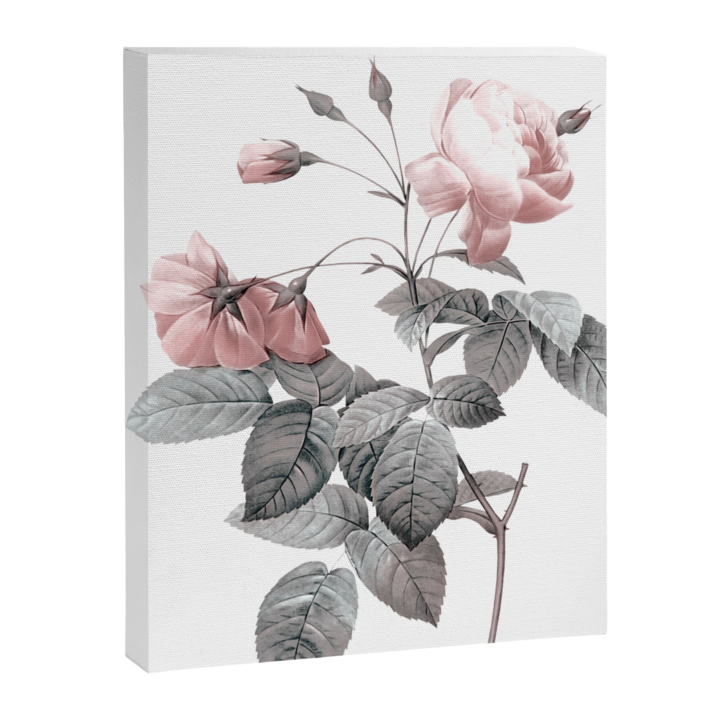 Rose 2 Canvas Print Gallery Image 6