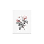 Rose 2 Art Print Gallery Image 1
