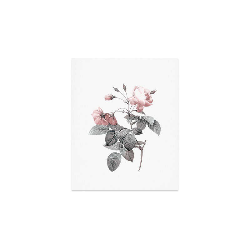 Rose 2 Art Print Gallery Image 1