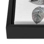 Rose 2 Framed Canvas Print Gallery Image 3
