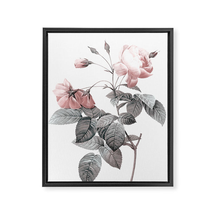 Rose 2 Framed Canvas Print Gallery Image 1