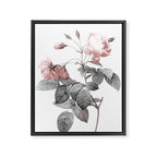 Rose 2 Framed Canvas Print Gallery Image 6
