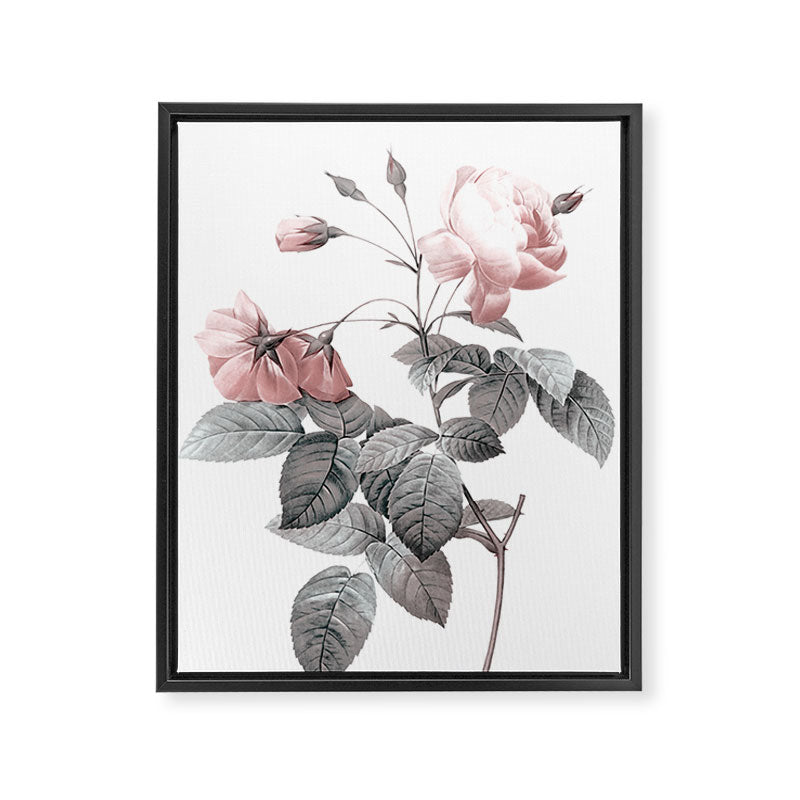 Rose 2 Framed Canvas Print Gallery Image 6