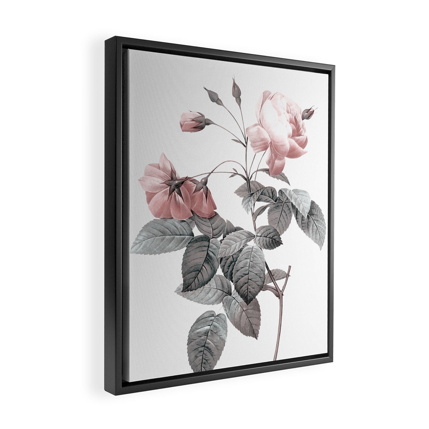 Rose 2 Framed Canvas Print Gallery Image 2