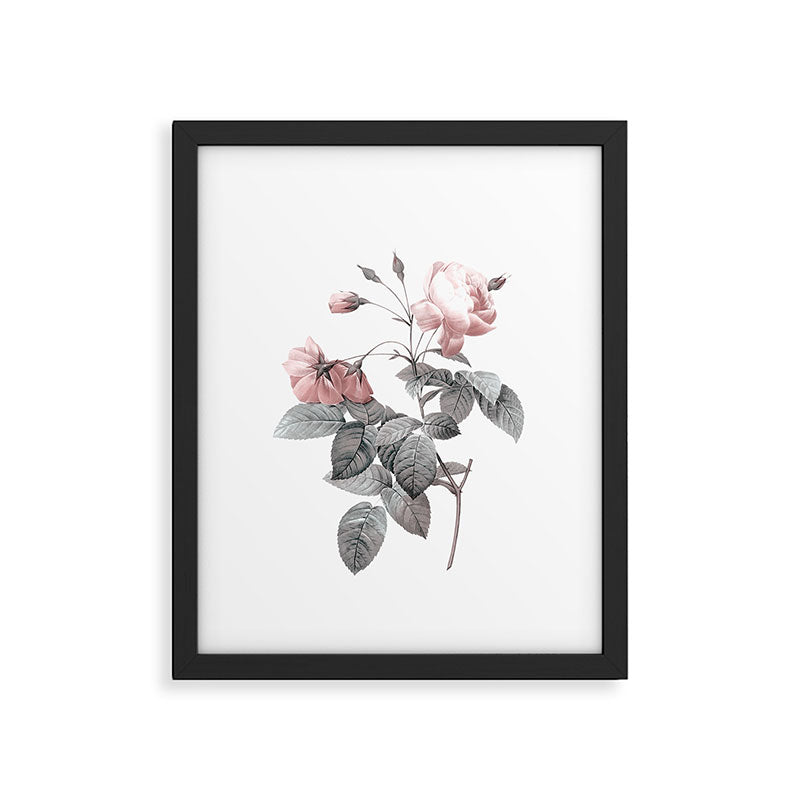 Rose 2 Framed Art Print Gallery Image 5
