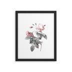 Rose 2 Framed Art Print Gallery Image 5