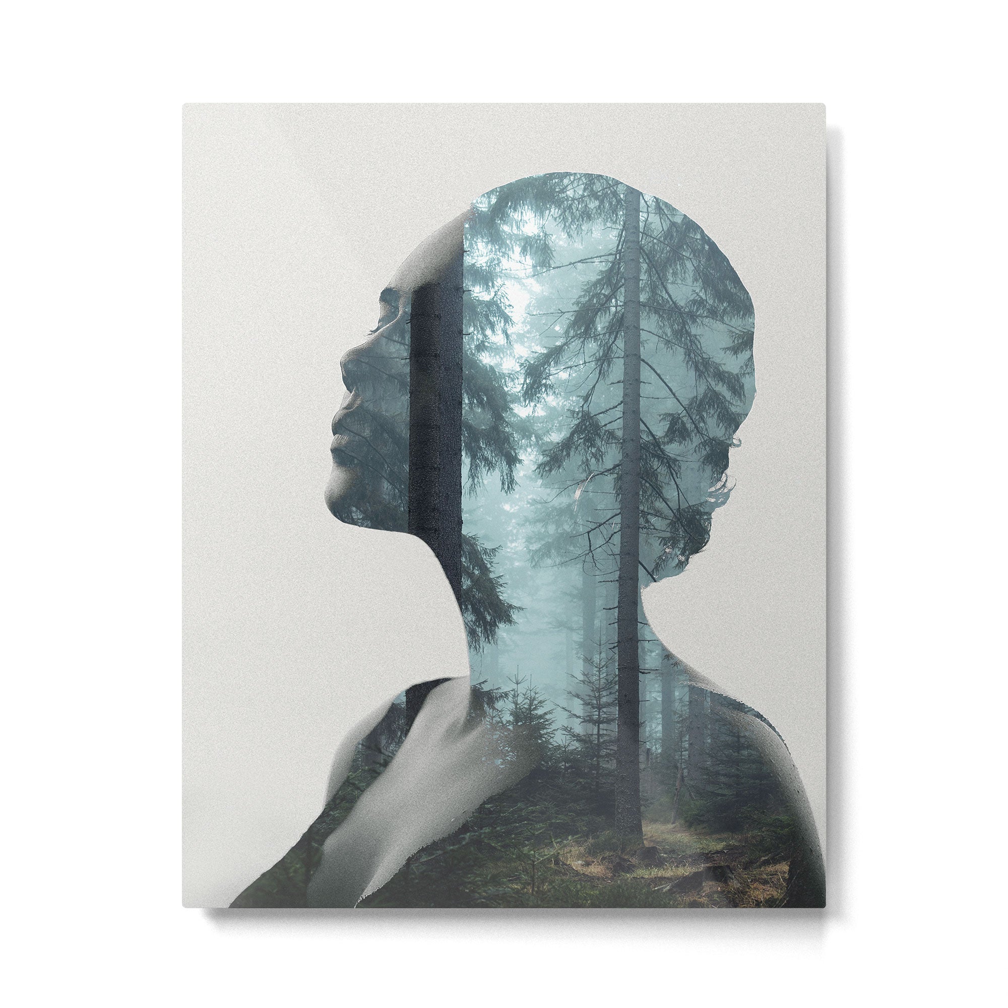 Silence of the Nature Metal Print Gallery Image 4