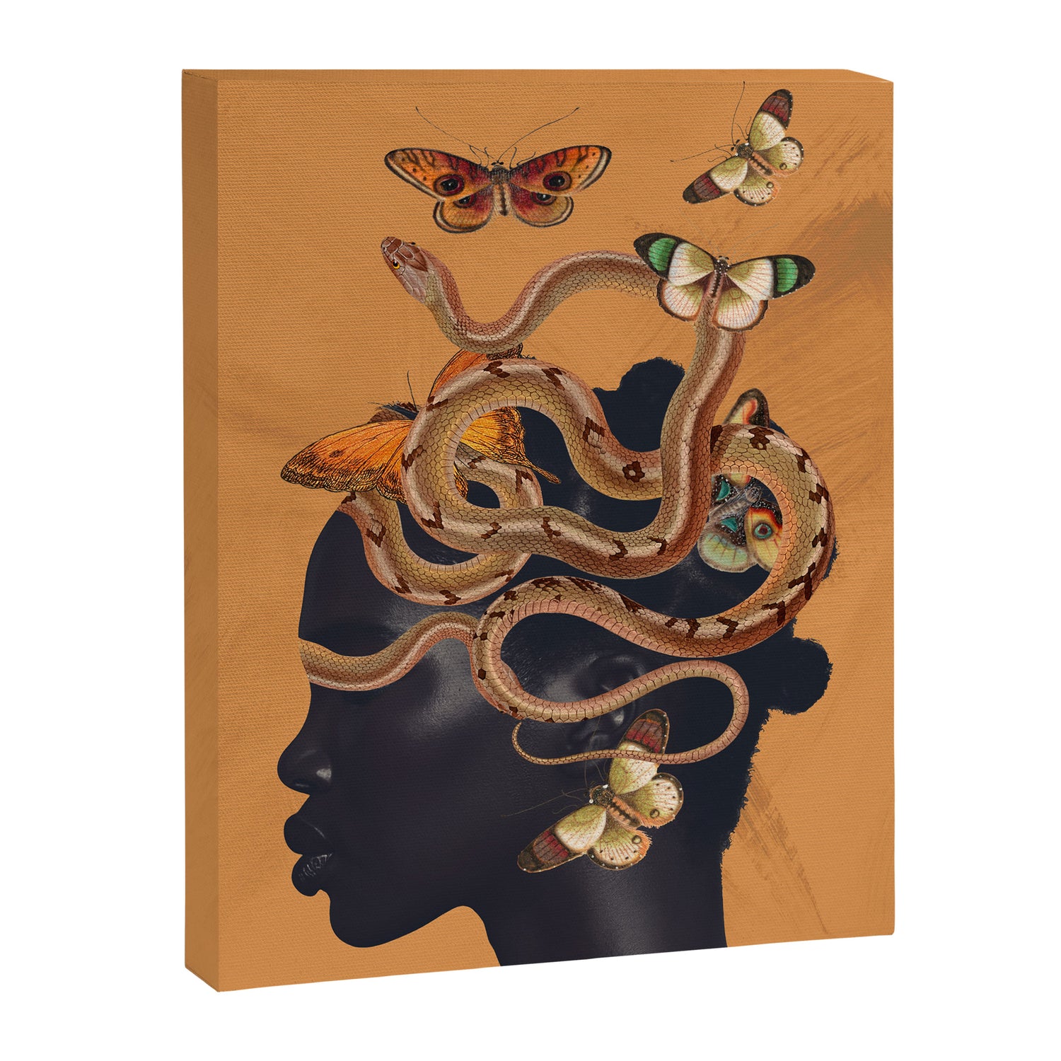 Snake and Butterflies Canvas Print Gallery Image 3