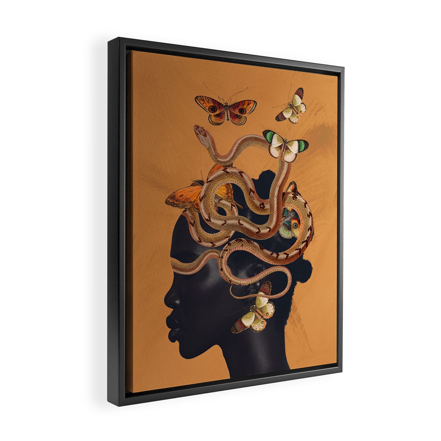 Snake and Butterflies Framed Canvas Print Gallery Image 2