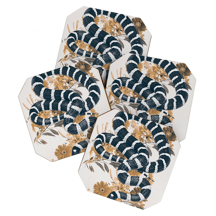 SNAKE Coaster Gallery Image 1