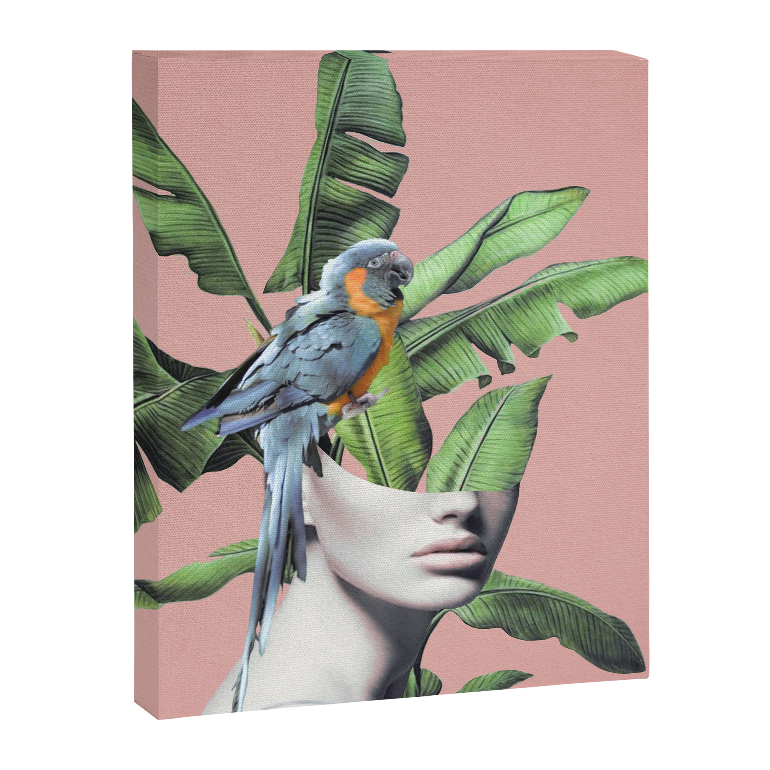 Tropical Girl  2 Canvas Print Gallery Image 6