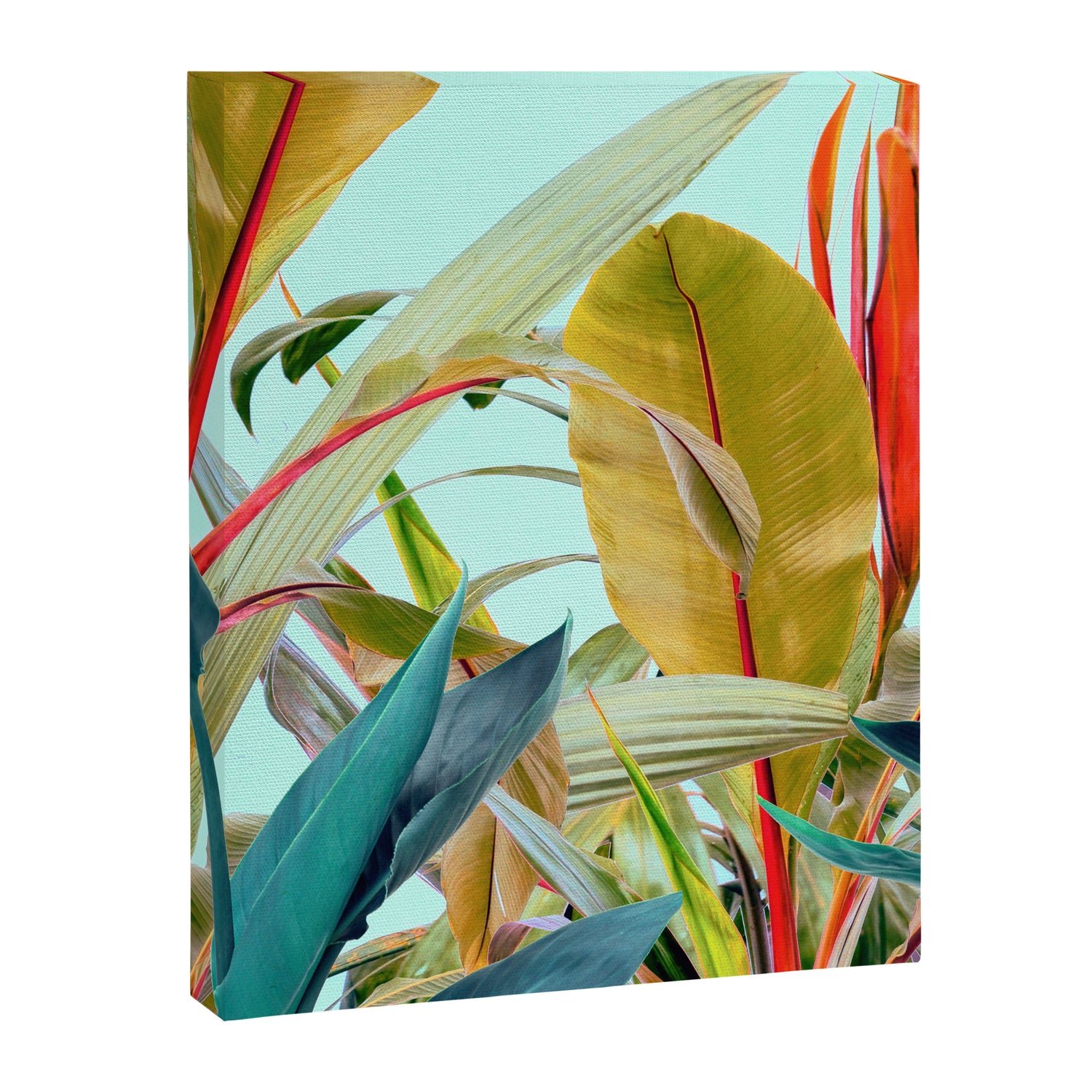 Tropical Jungle Canvas Print Gallery Image 3