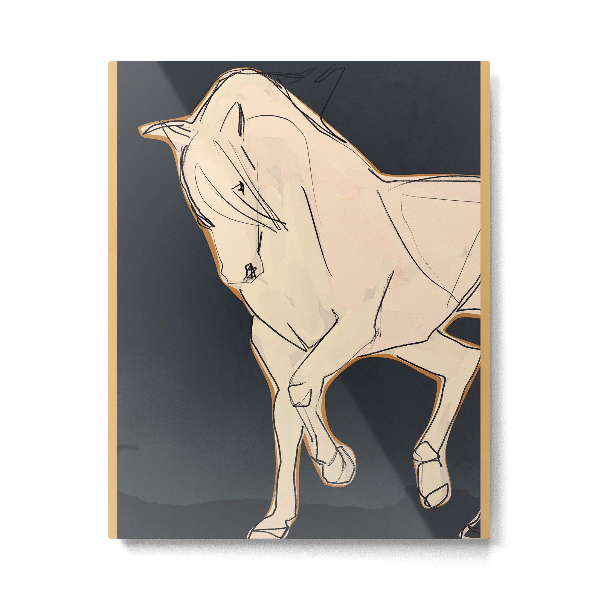 White Horse 2 Metal Print Gallery Image 4