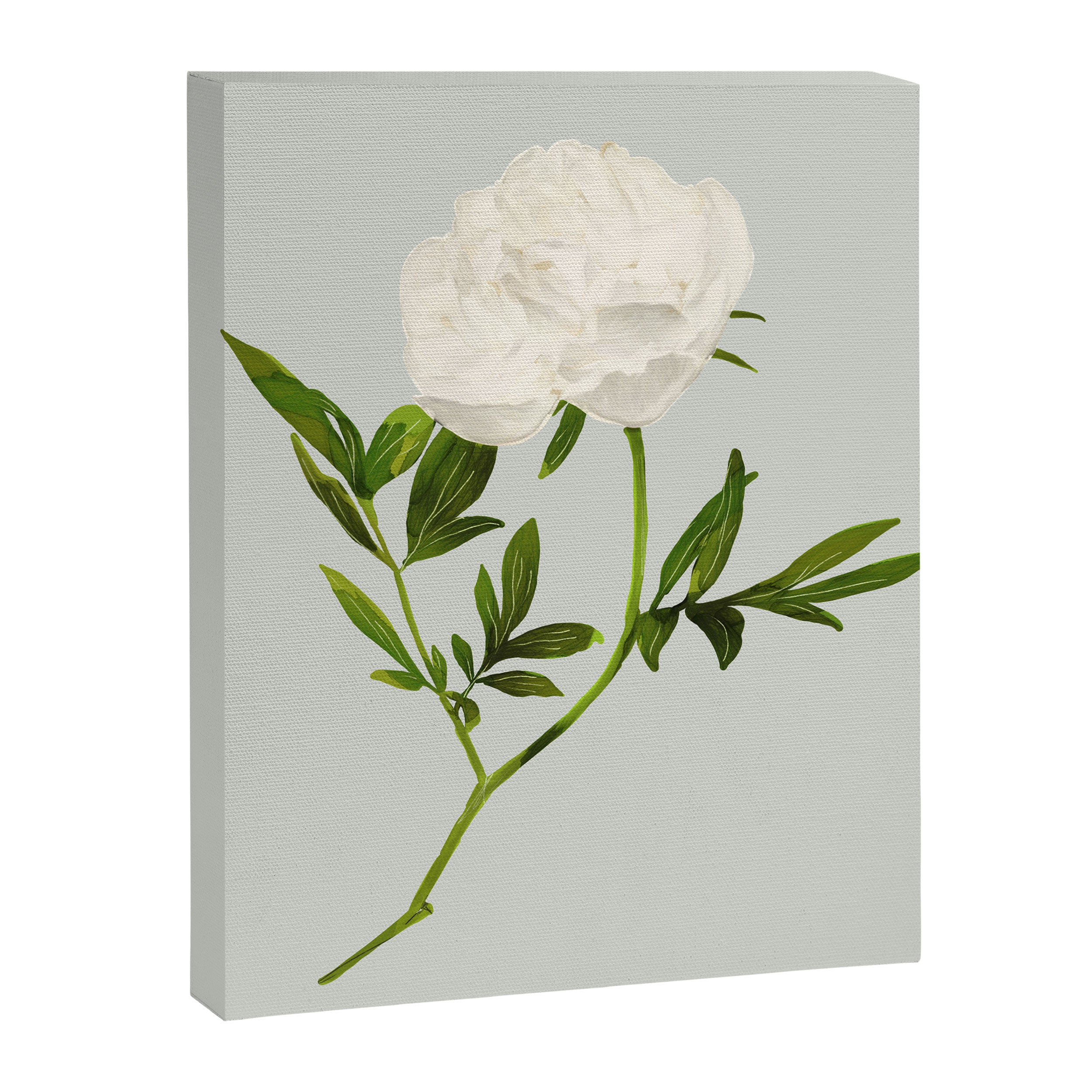 White Rose 2 Canvas Print Gallery Image 6