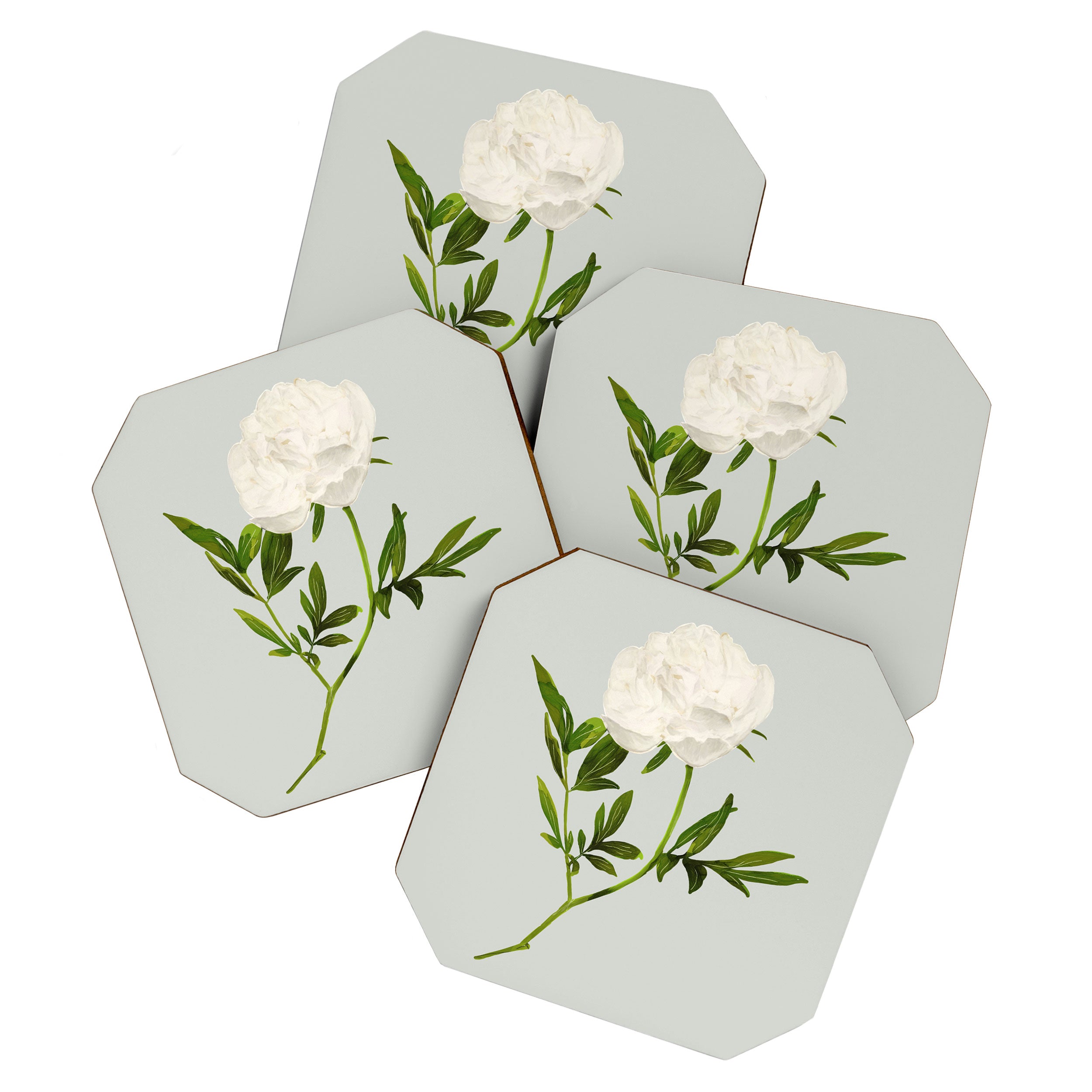 White Rose 2 Coaster Gallery Image 1