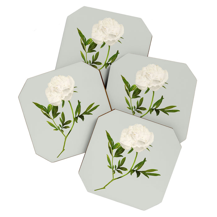 White Rose 2 Coaster Gallery Image 1