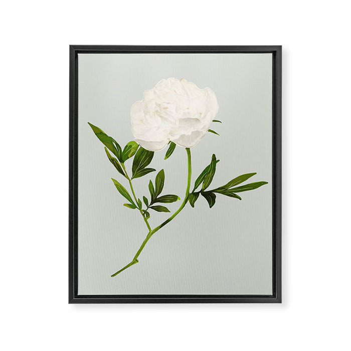 White Rose 2 Framed Canvas Print Gallery Image 1
