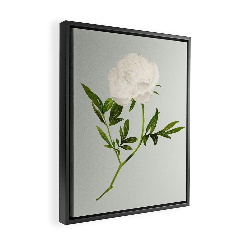 White Rose 2 Framed Canvas Print Gallery Image 2