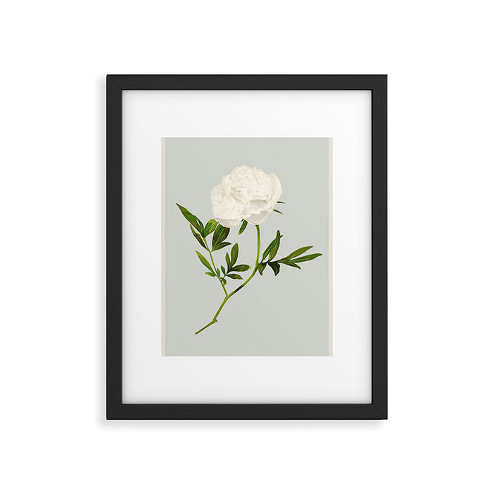 White Rose 2 Framed Art Print Gallery Image 1