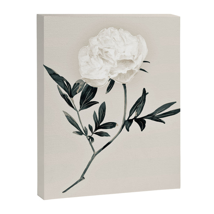 White Rose  Canvas Print Gallery Image 1