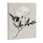 White Rose  Canvas Print Gallery Image 6