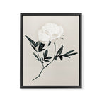 White Rose  Framed Canvas Print Gallery Image 6