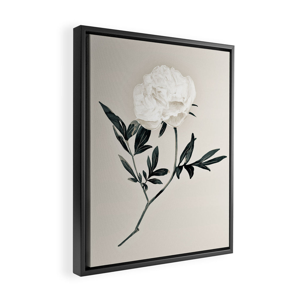 White Rose  Framed Canvas Print Gallery Image 2