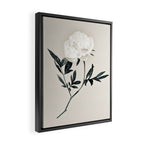 White Rose  Framed Canvas Print Gallery Image 2