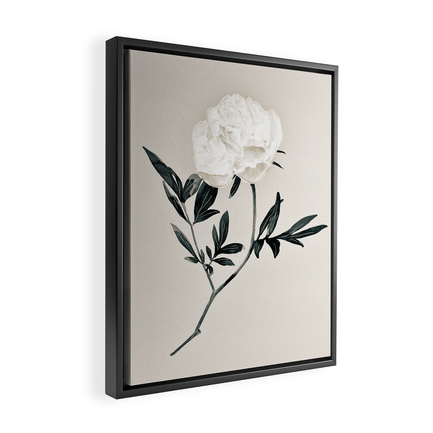 White Rose  Framed Canvas Print Gallery Image 2