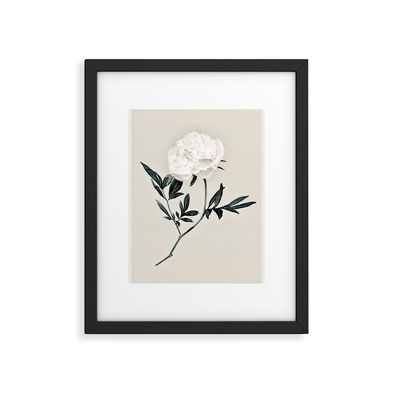 White Rose  Framed Art Print Gallery Image 5