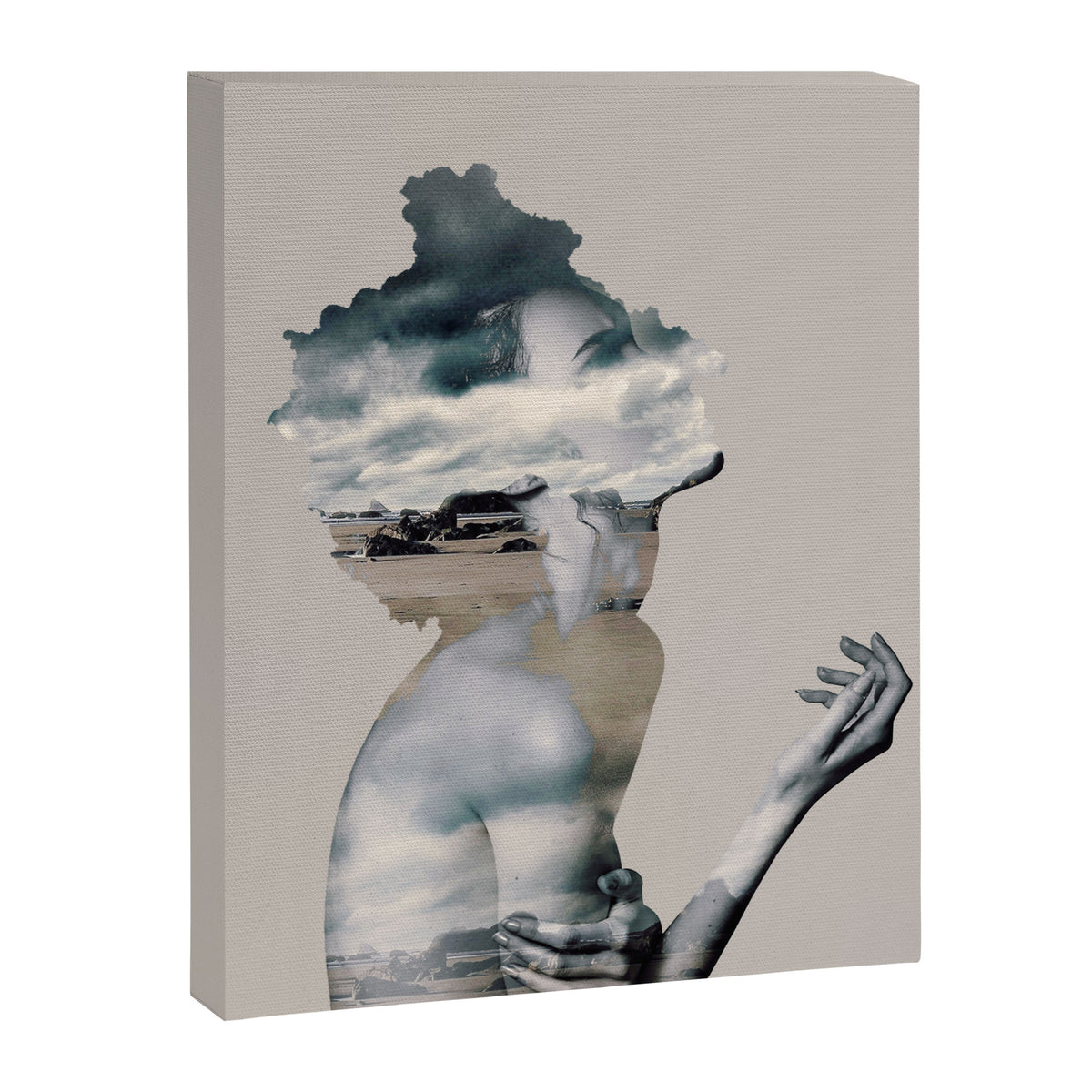 Wild Nature Canvas Print Gallery Image 6