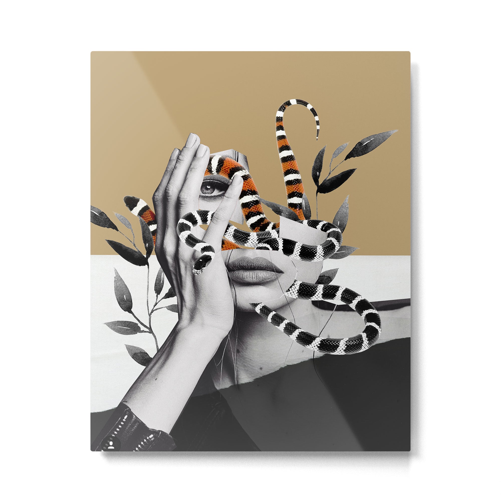 Woman and snakes Metal Print Gallery Image 4