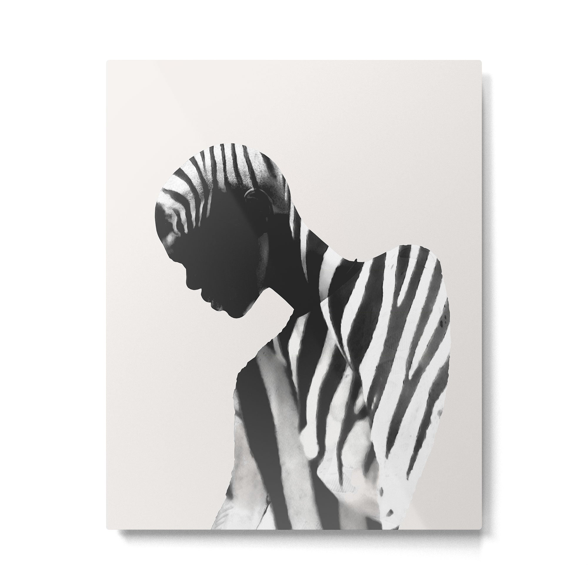 Zebra Metal Print Gallery Image 4