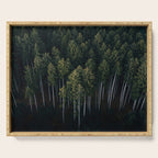 Pines From Above Serving Tray Gallery Image 1