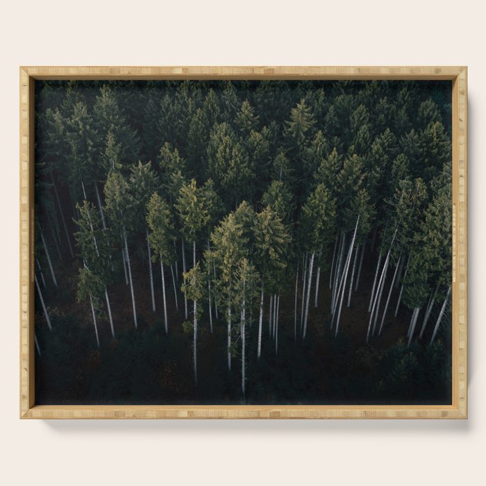 Pines From Above Serving Tray Gallery Image 1