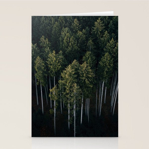 Pines From Above Stationery Card Gallery Image 1