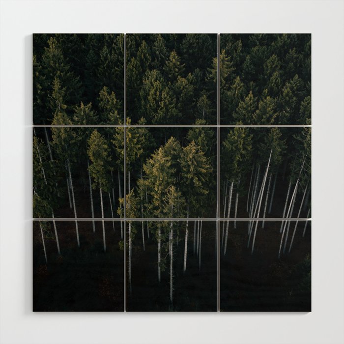 Pines From Above Wood Wall Art Gallery Image 1