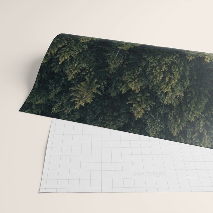 Pines From Above Wrapping Paper Gallery Image 2