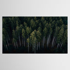 Pines From Above Tablecloth Gallery Image 2