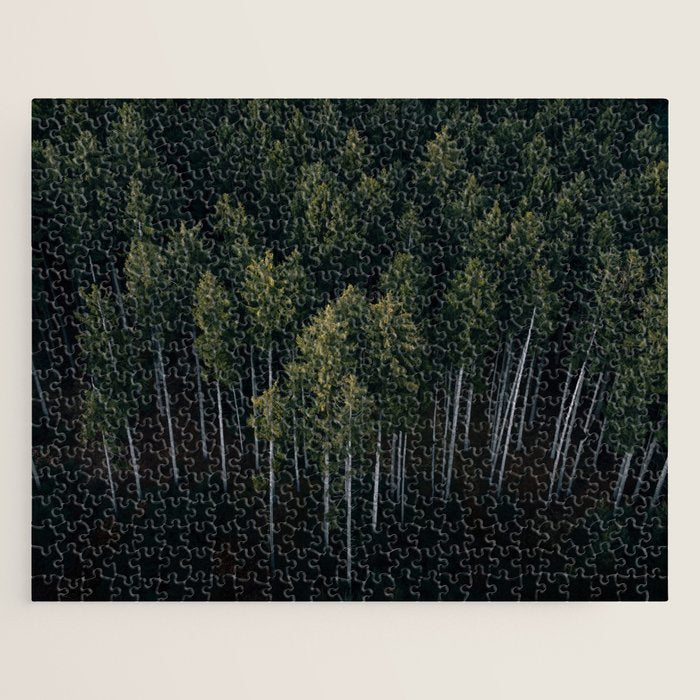 Pines From Above Jigsaw Puzzle Gallery Image 1