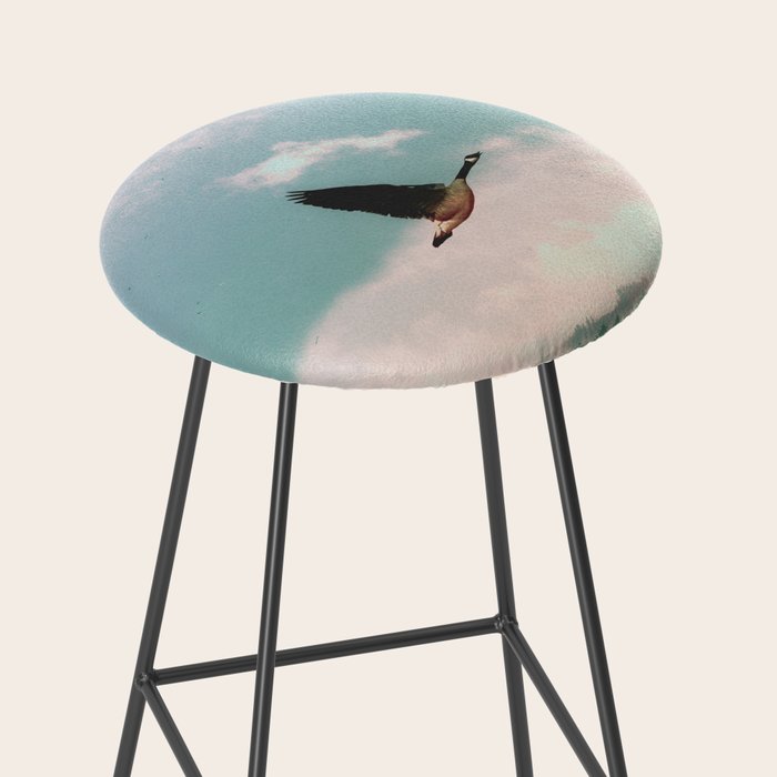 Early Bird Stool Gallery Image 2