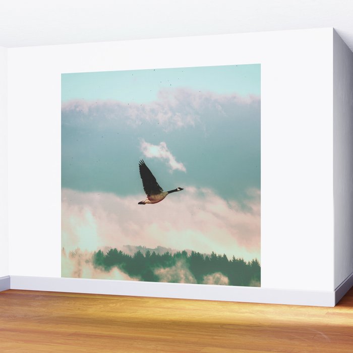 Early Bird Wall Mural Gallery Image 2