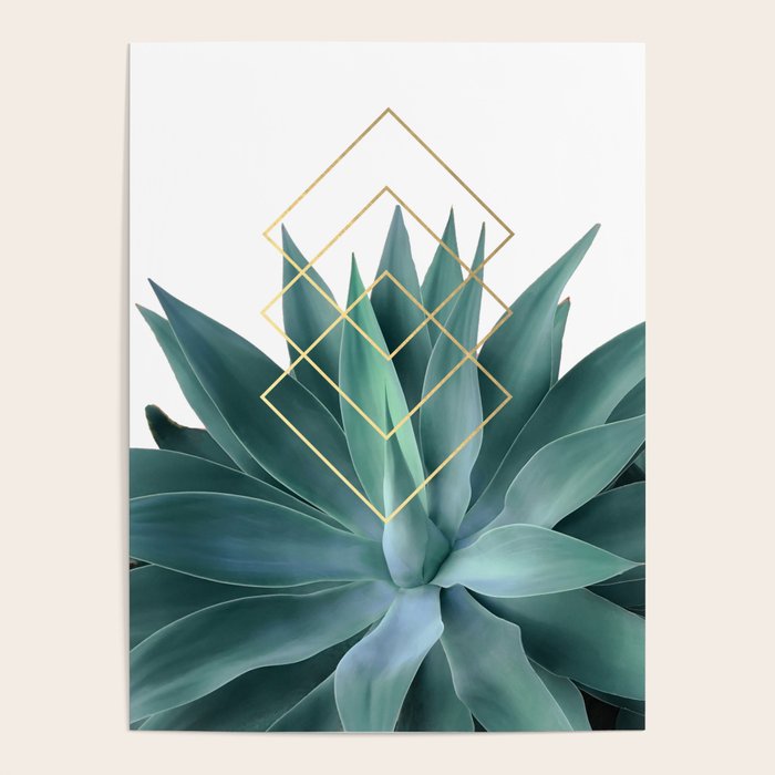 Agave geometrics Poster Gallery Image 4
