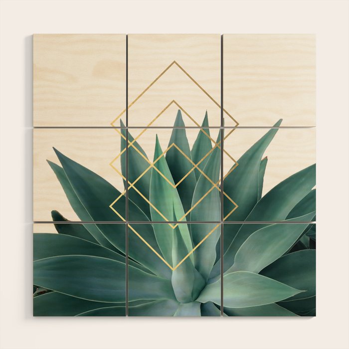 Agave geometrics Wood Wall Art Gallery Image 1