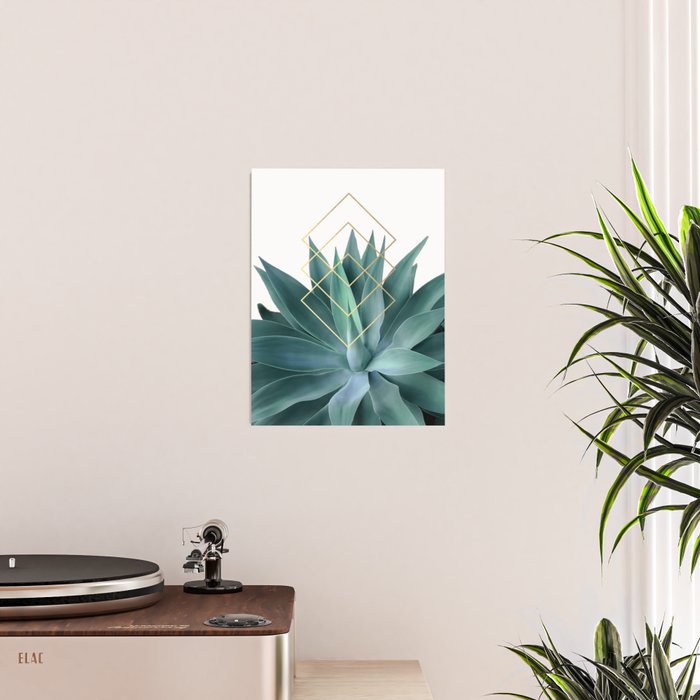 Agave geometrics Poster Gallery Image 2