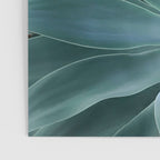 Agave geometrics Poster Gallery Image 3