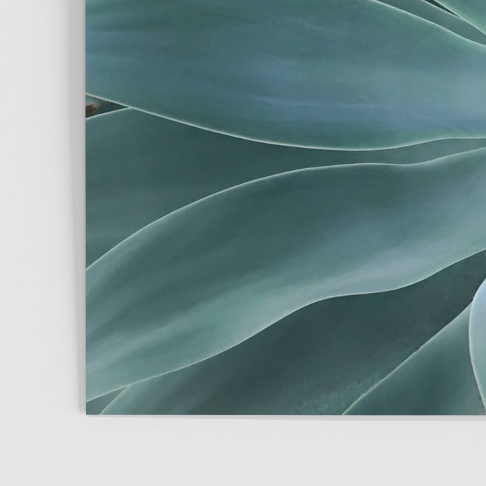 Agave geometrics Poster Gallery Image 3